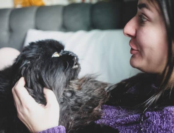 Bipolar Living: Meet My Emotional Pet: Drake + 3 Psychological Reasons